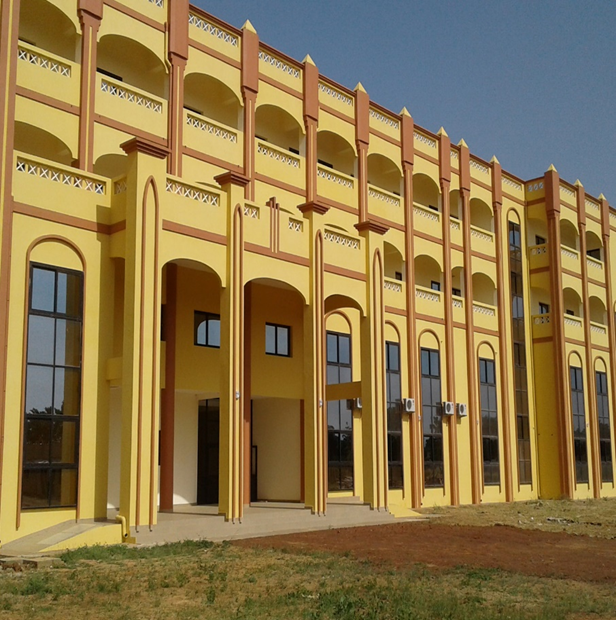 INSTITUT UNIVERSITAIRE DE FORMATION PROFESSIONEL DE SEGOU